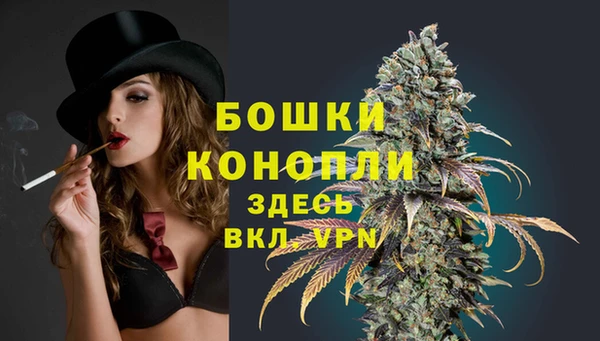 дживик Корсаков